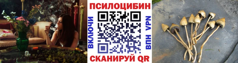 что такое Багратионовск Псилоцибиновые грибы Magic Shrooms